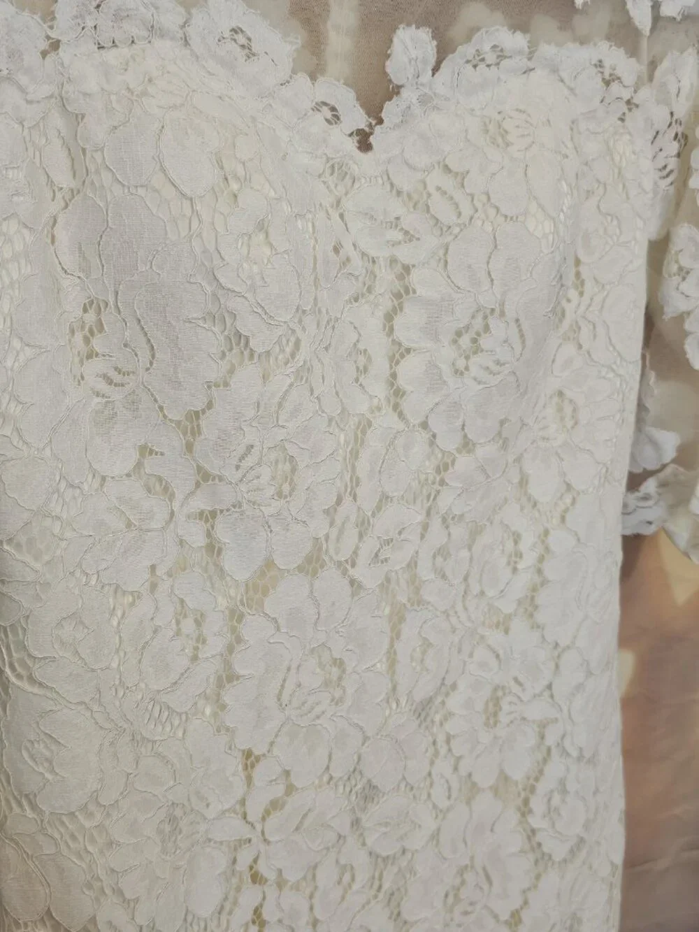 Elegant Wedding Dresses V-Neck Lace Applique Illusion Bridal Gowns Siren Trumpet